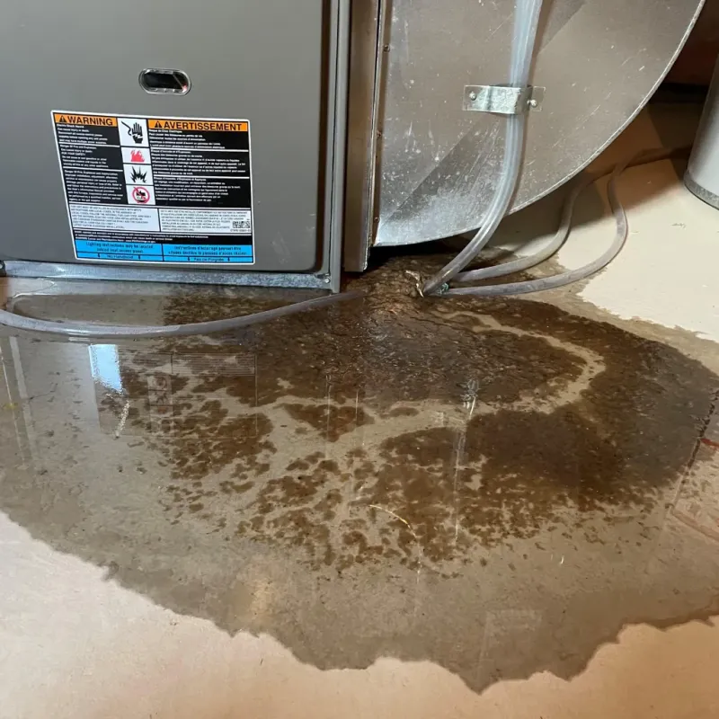 Appliance Leak Cleanup in Dothan, AL